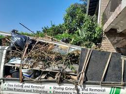 Best Residential Junk Removal  in Galena, IN